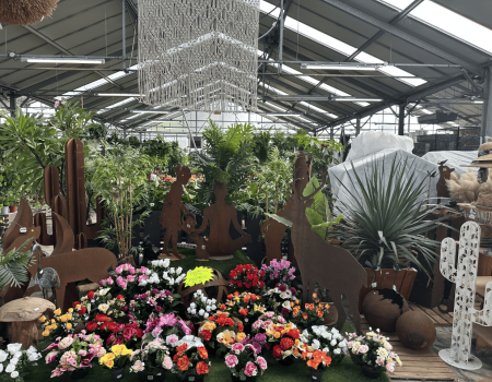 IMG_2879_batcheditor_fotor