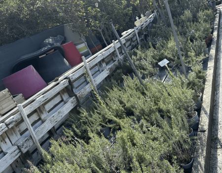 IMG_2914_batcheditor_fotor