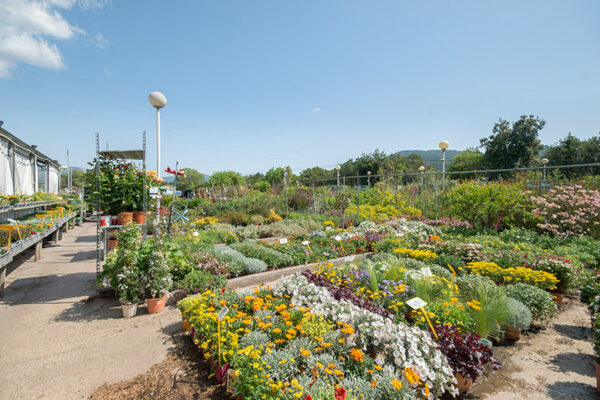 jardinerie